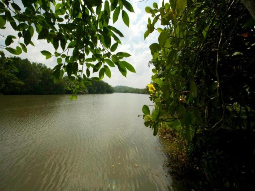 Mangrove Escapes Resort Bentota Exteriör bild