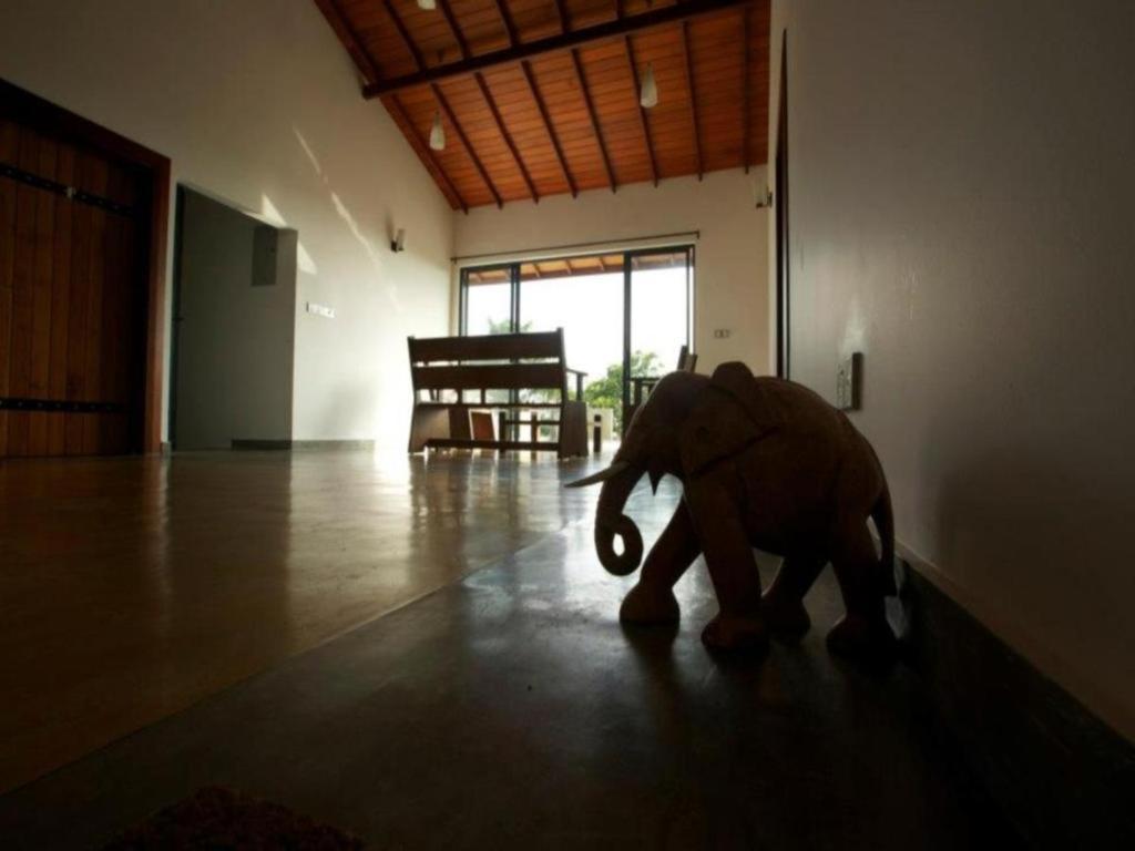 Mangrove Escapes Resort Bentota Exteriör bild