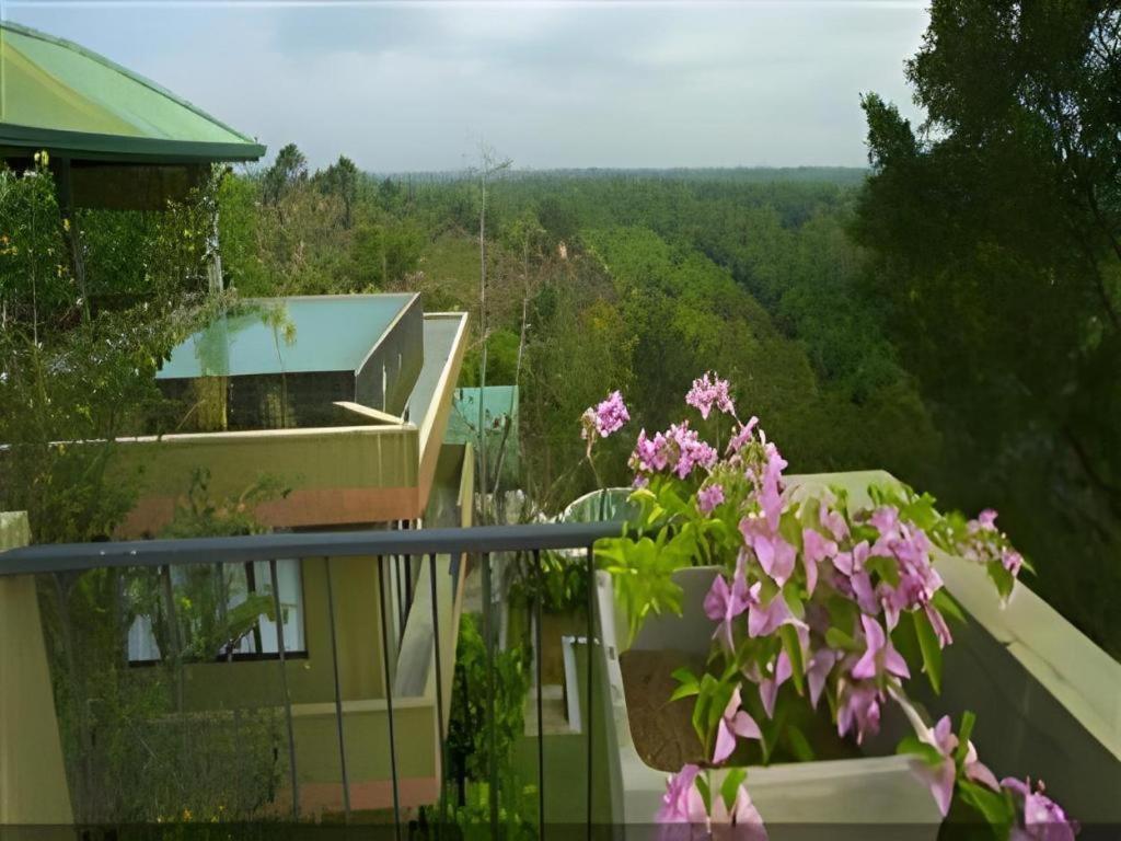 Mangrove Escapes Resort Bentota Exteriör bild