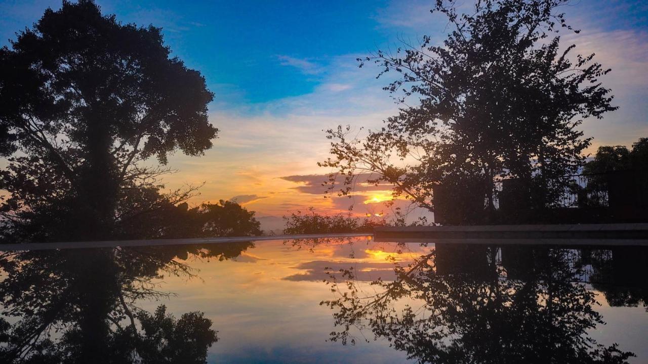 Mangrove Escapes Resort Bentota Exteriör bild