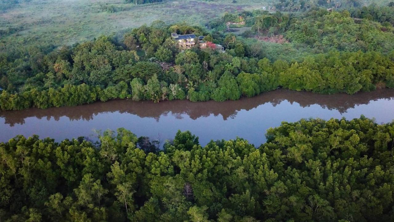 Mangrove Escapes Resort Bentota Exteriör bild