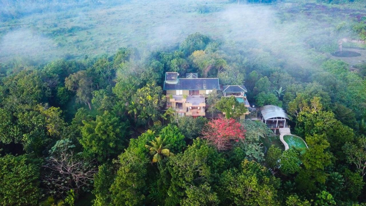 Mangrove Escapes Resort Bentota Exteriör bild