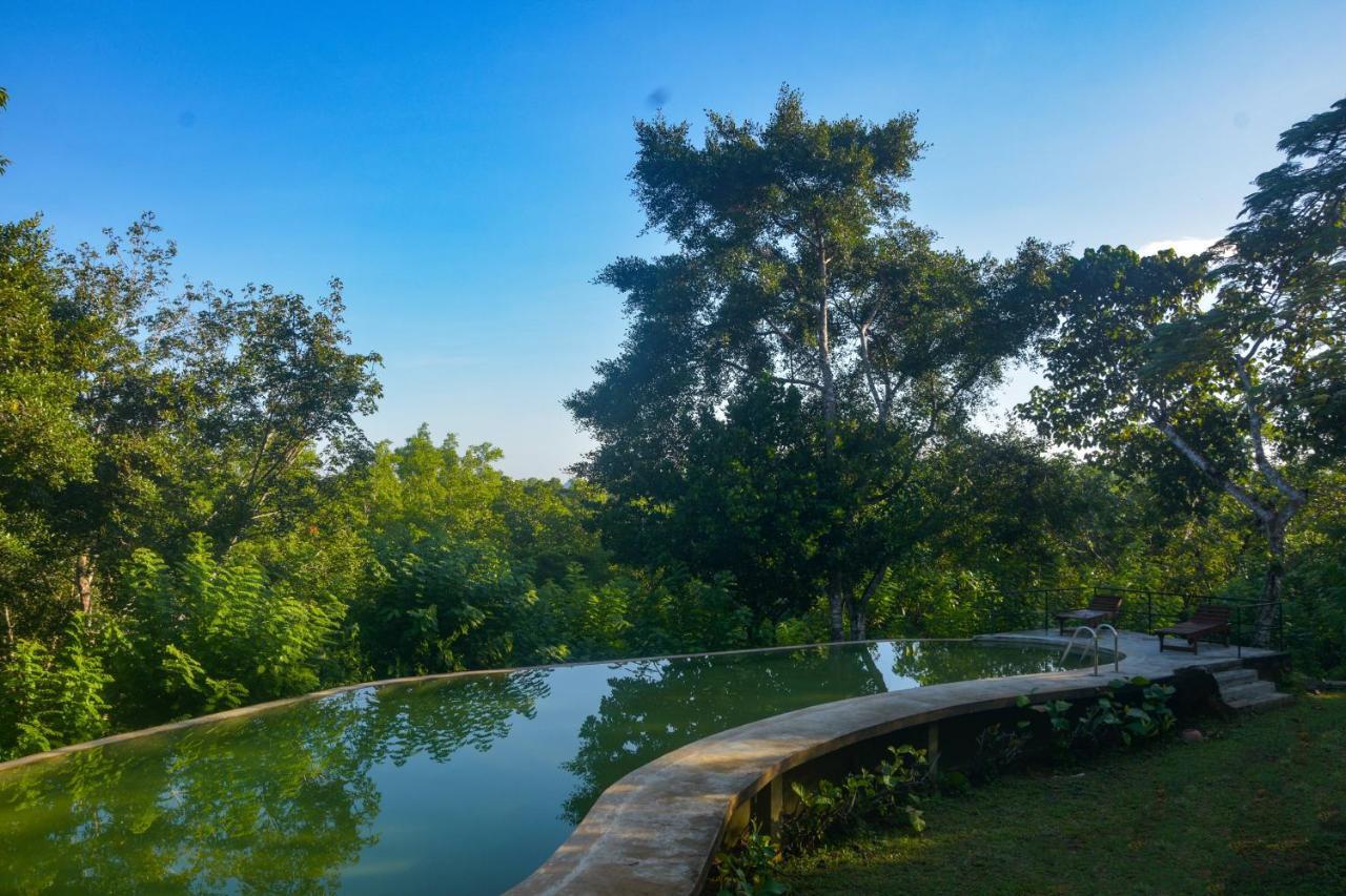 Mangrove Escapes Resort Bentota Exteriör bild